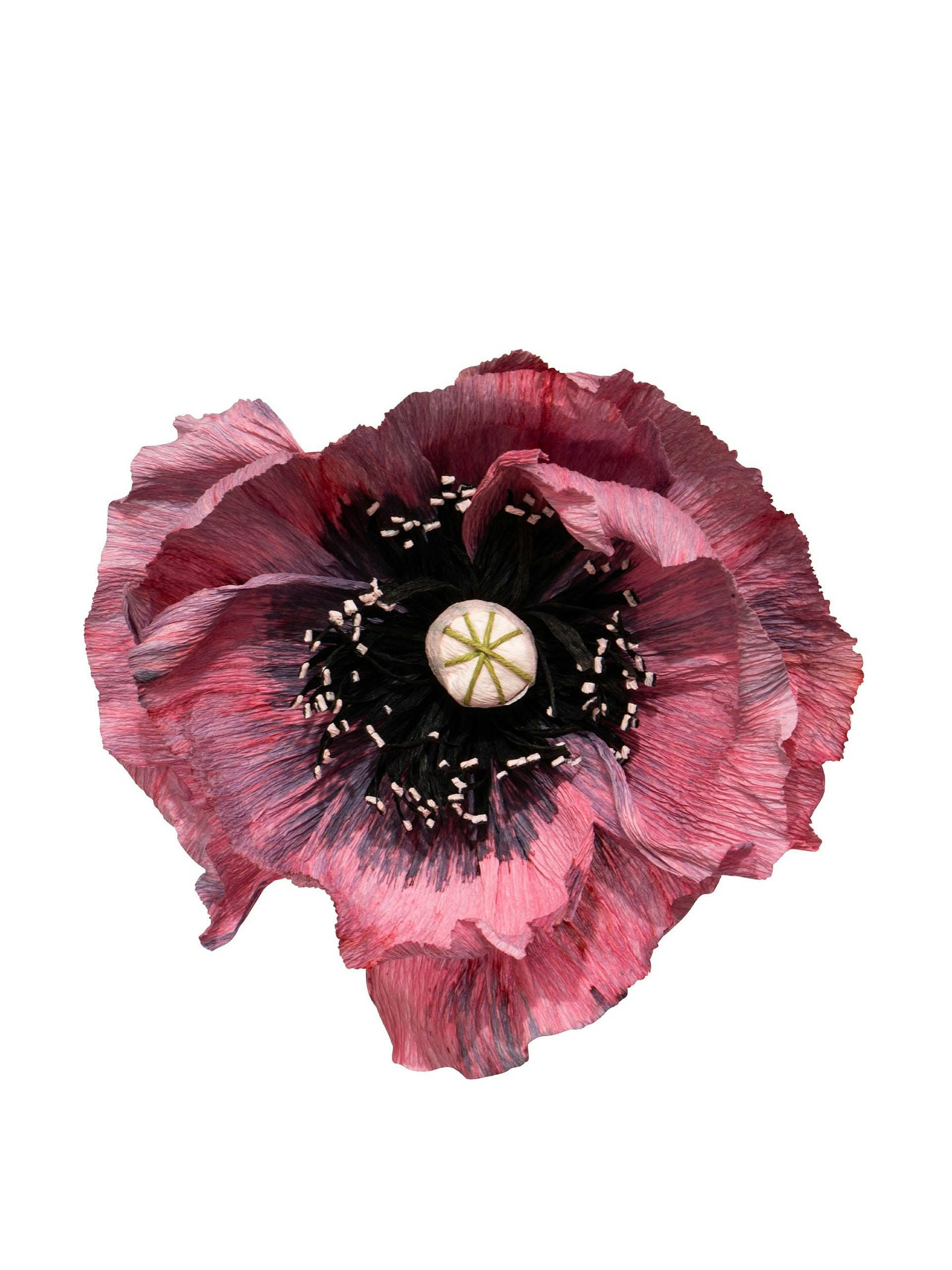 Poppy paper flower