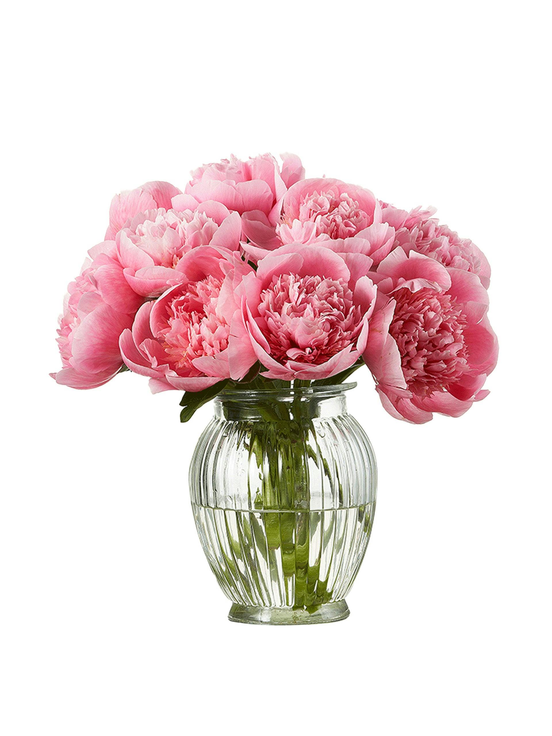 Lil Darling Peony bouquet (10 stems)