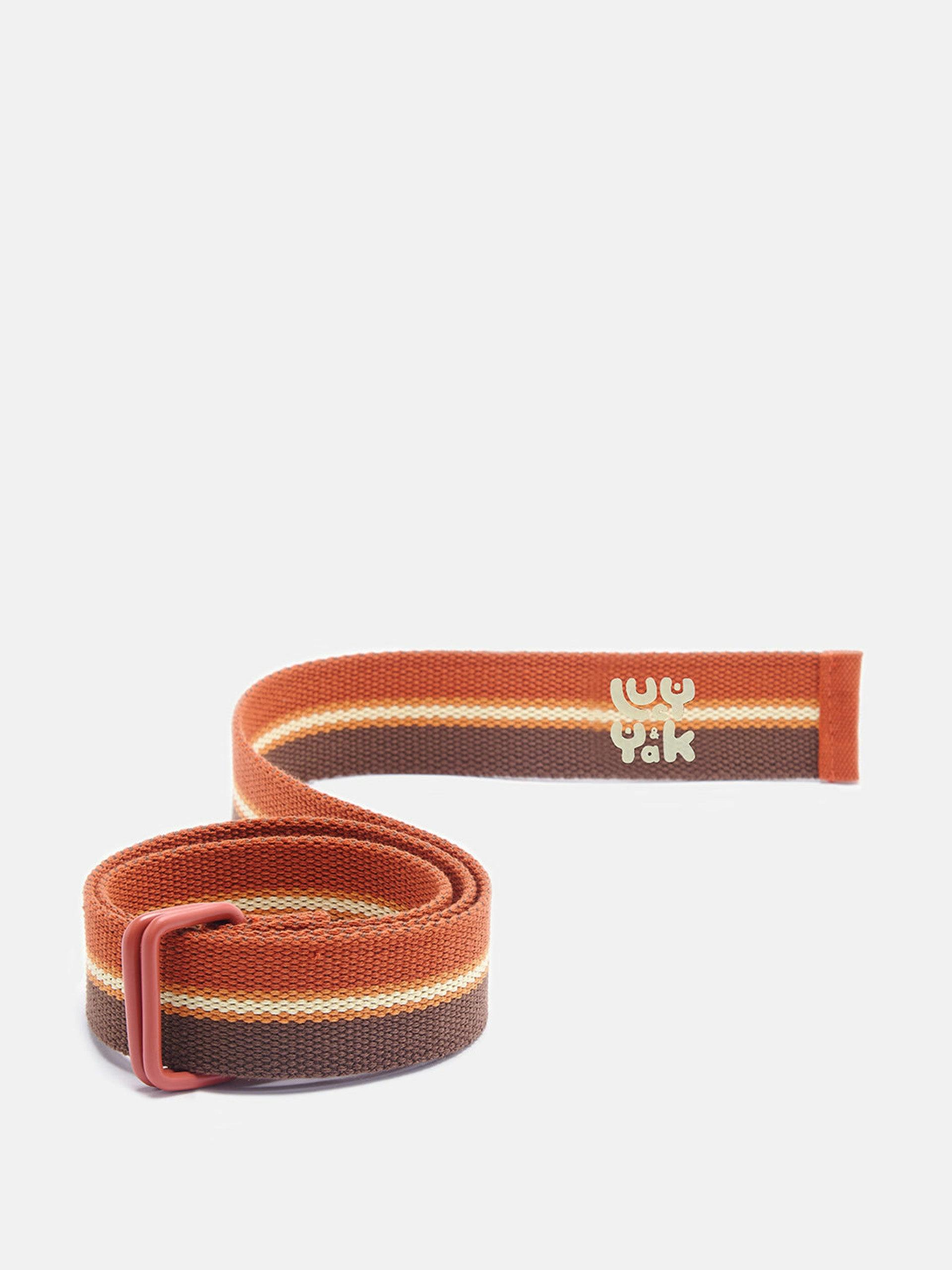 Flynn belt: organic webbing - retro stripe