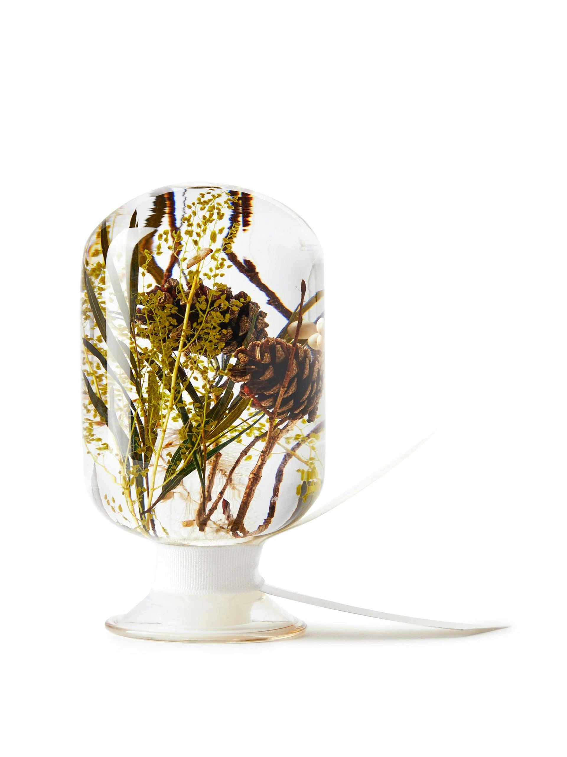 Glass plant paperweight