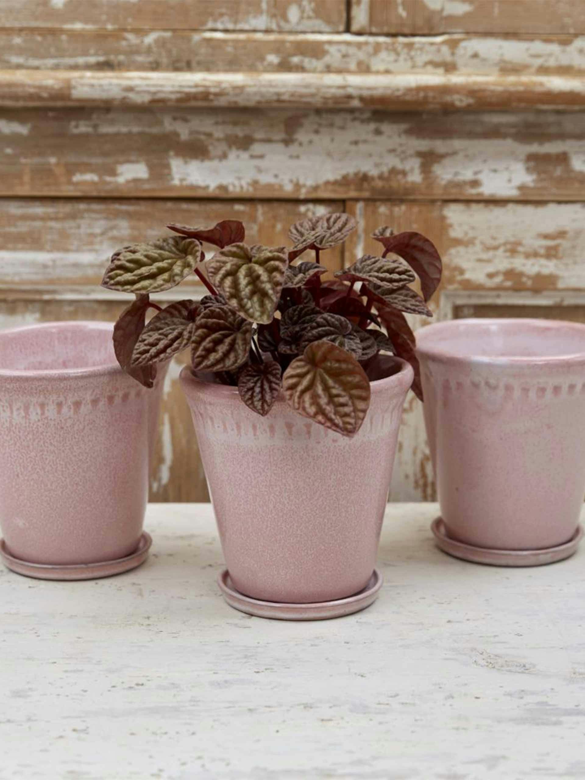 Pink glaze plant pot set of three