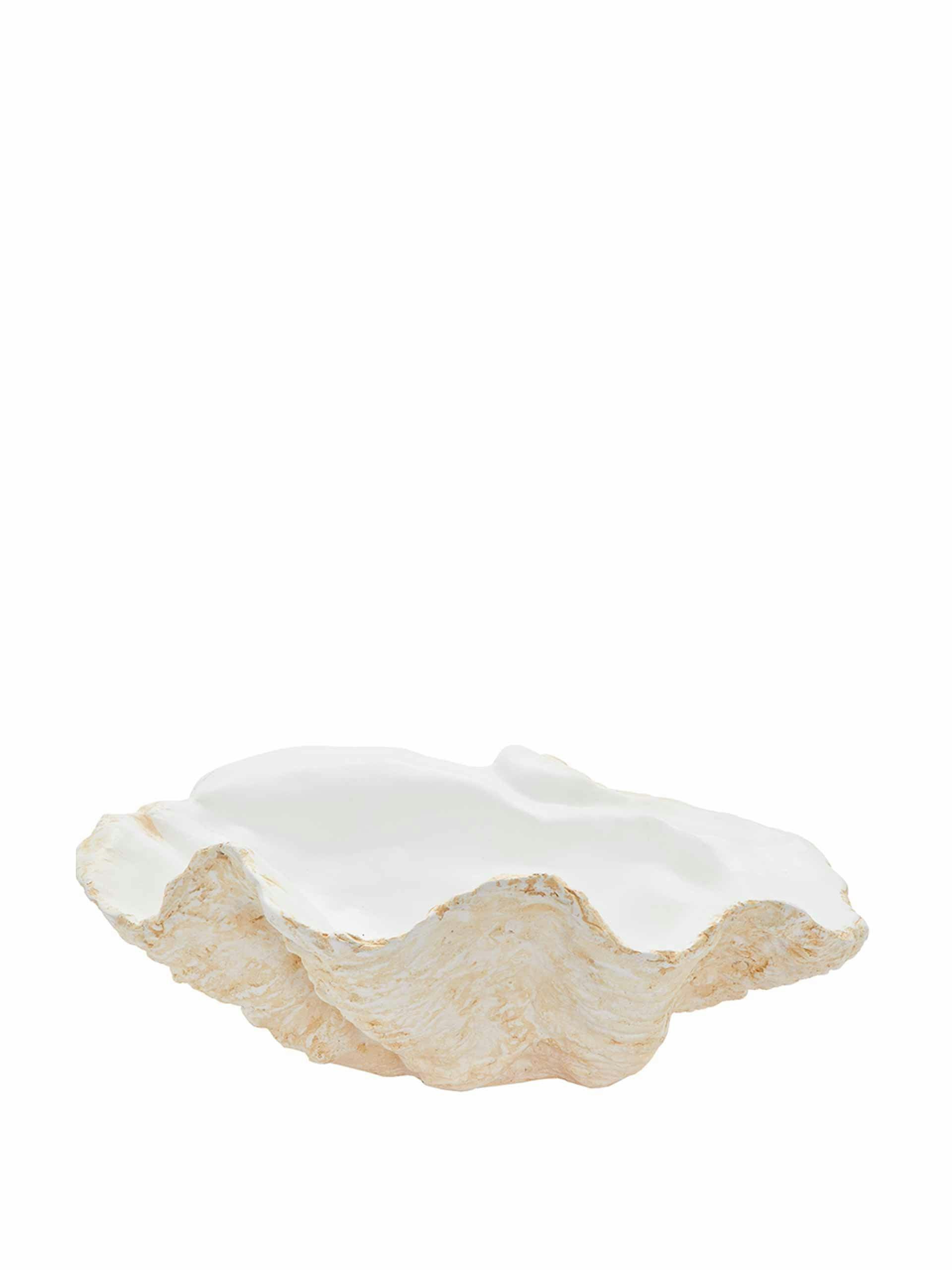 Giant ceramic clam shell