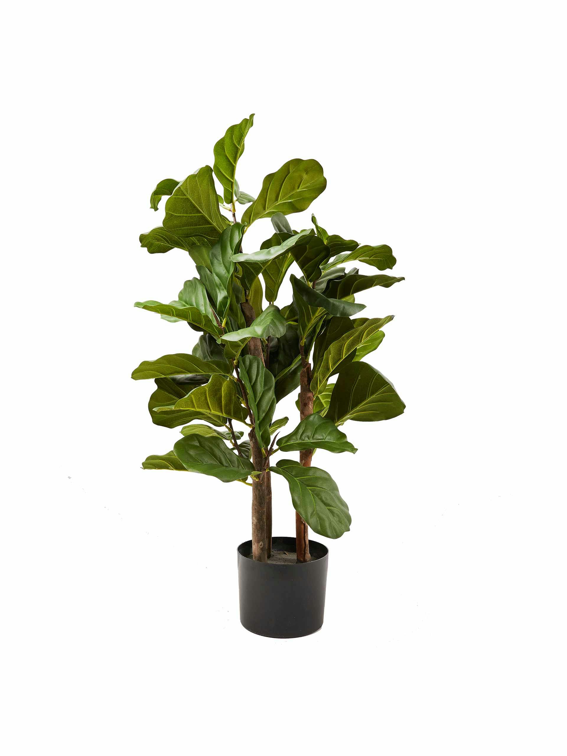 Fiddle tree fig tree artificial plant