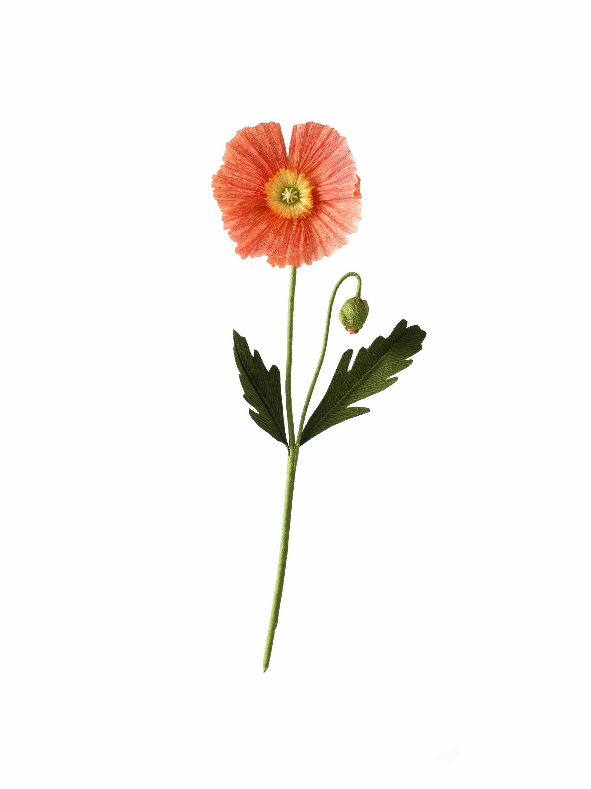 Paper poppy flower