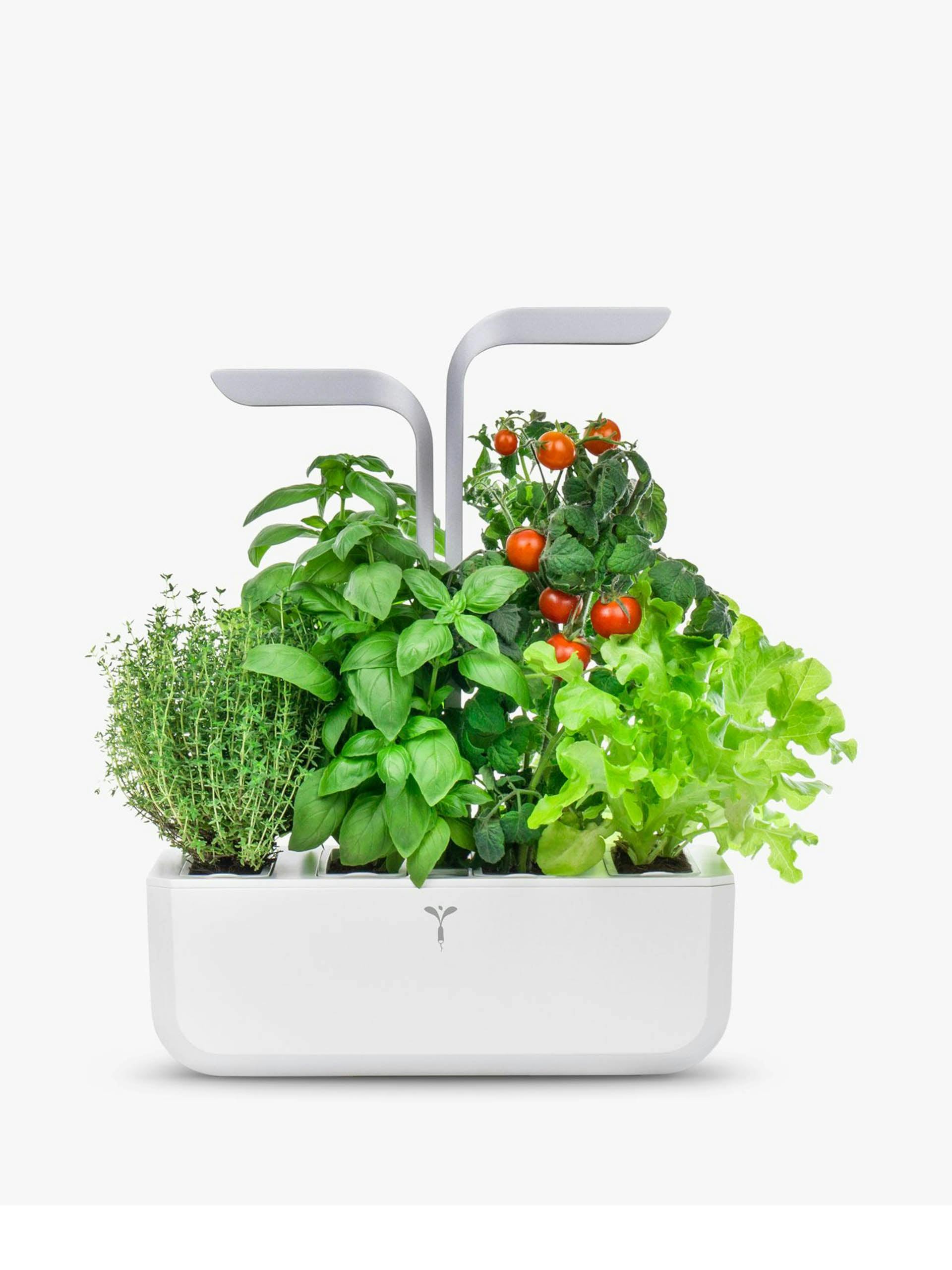 Herb & plant holder