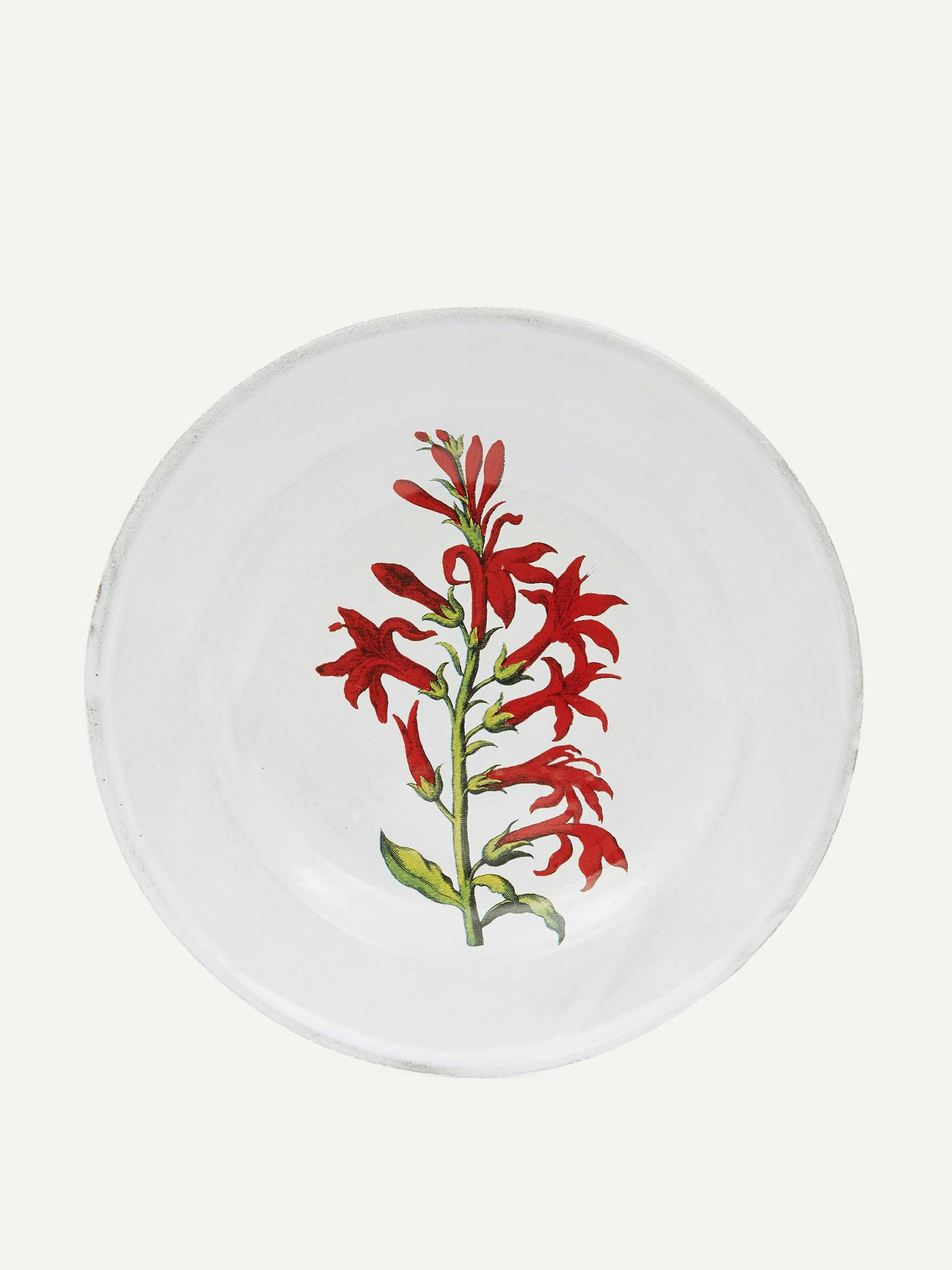 Cardinal Flower soup plate
