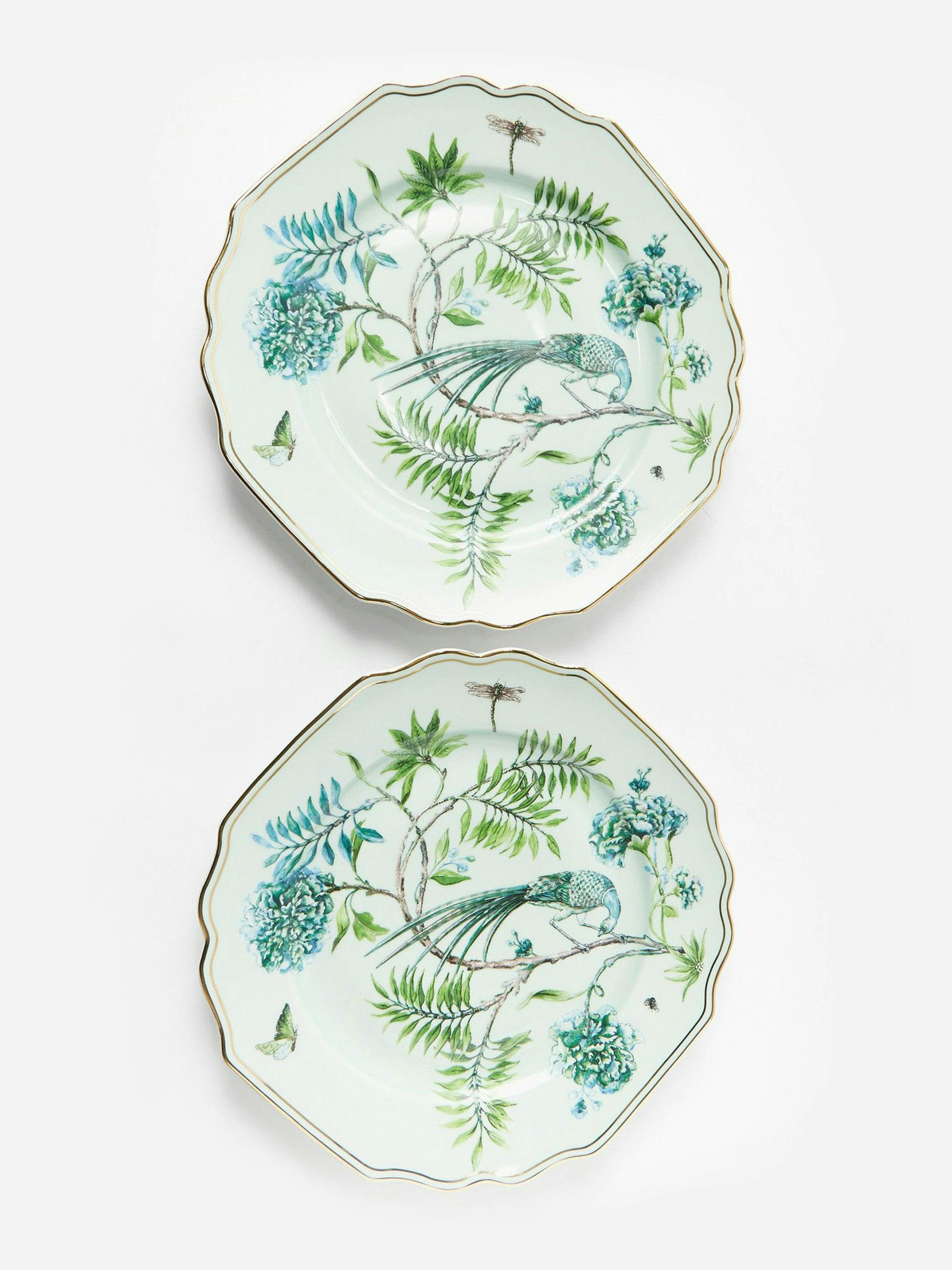 Secret Garden porcelain dinner plates (set of 2)