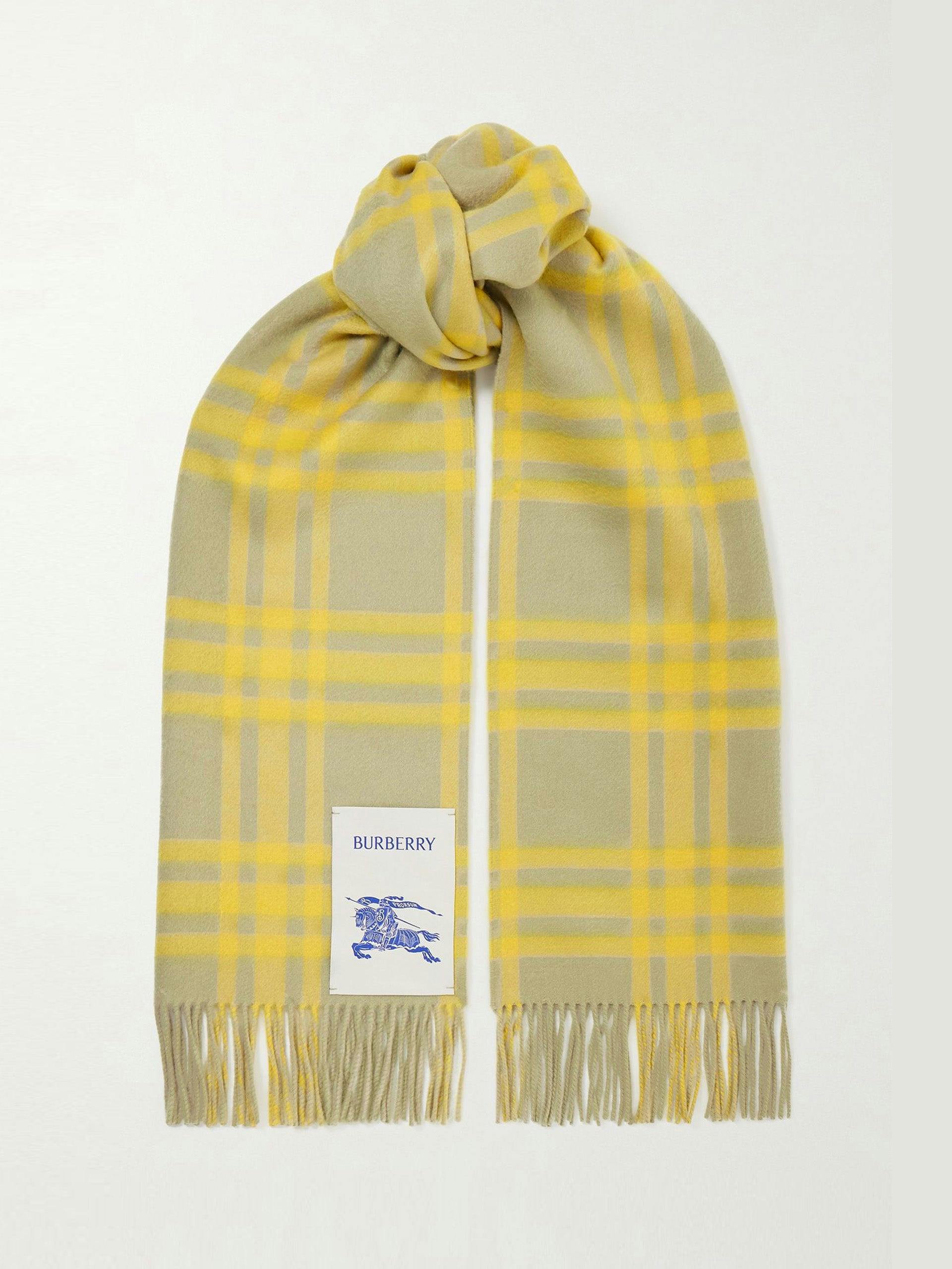 Appliquéd fringed checked cashmere scarf