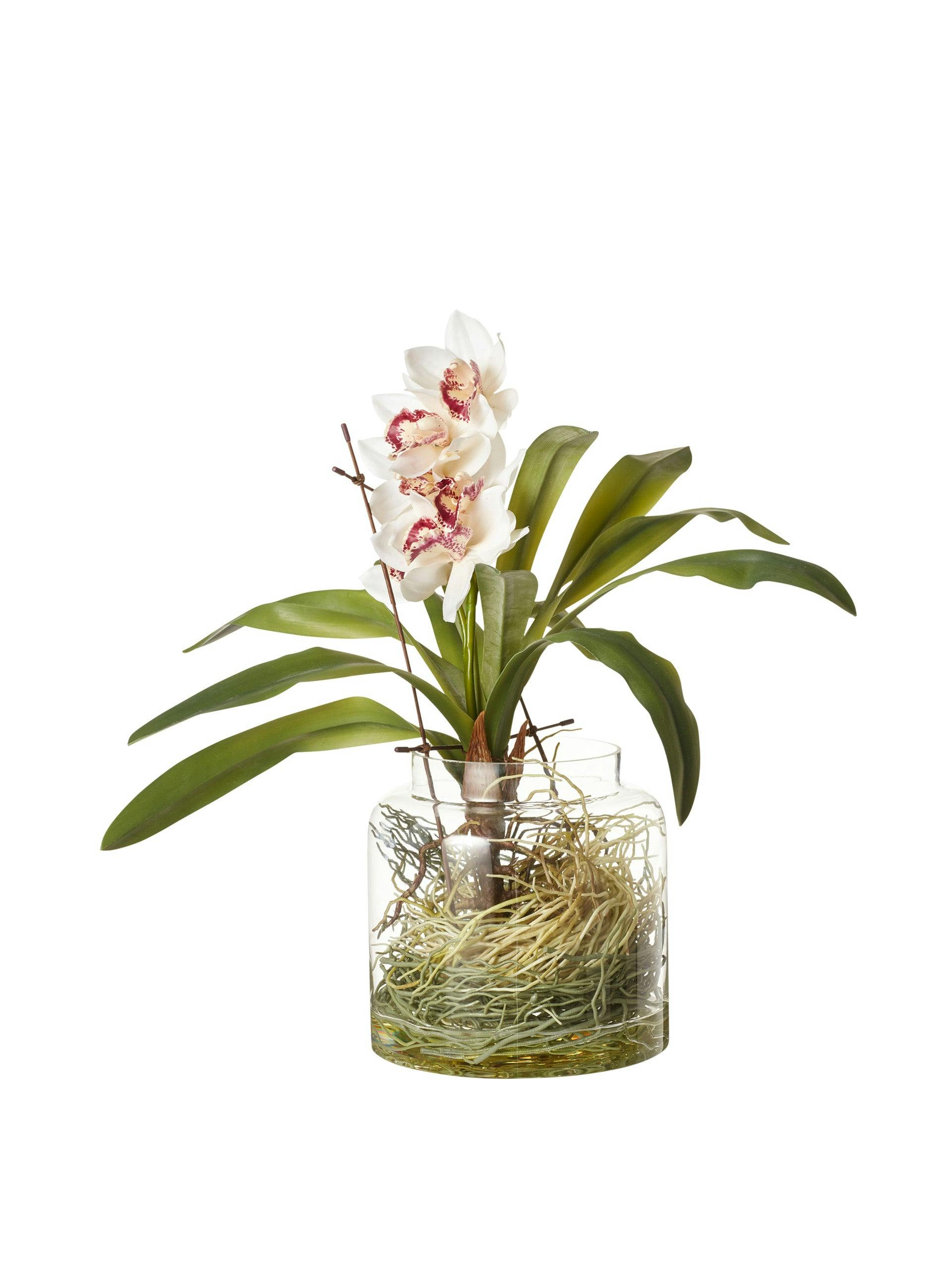 Faux cymbidium orchid plant