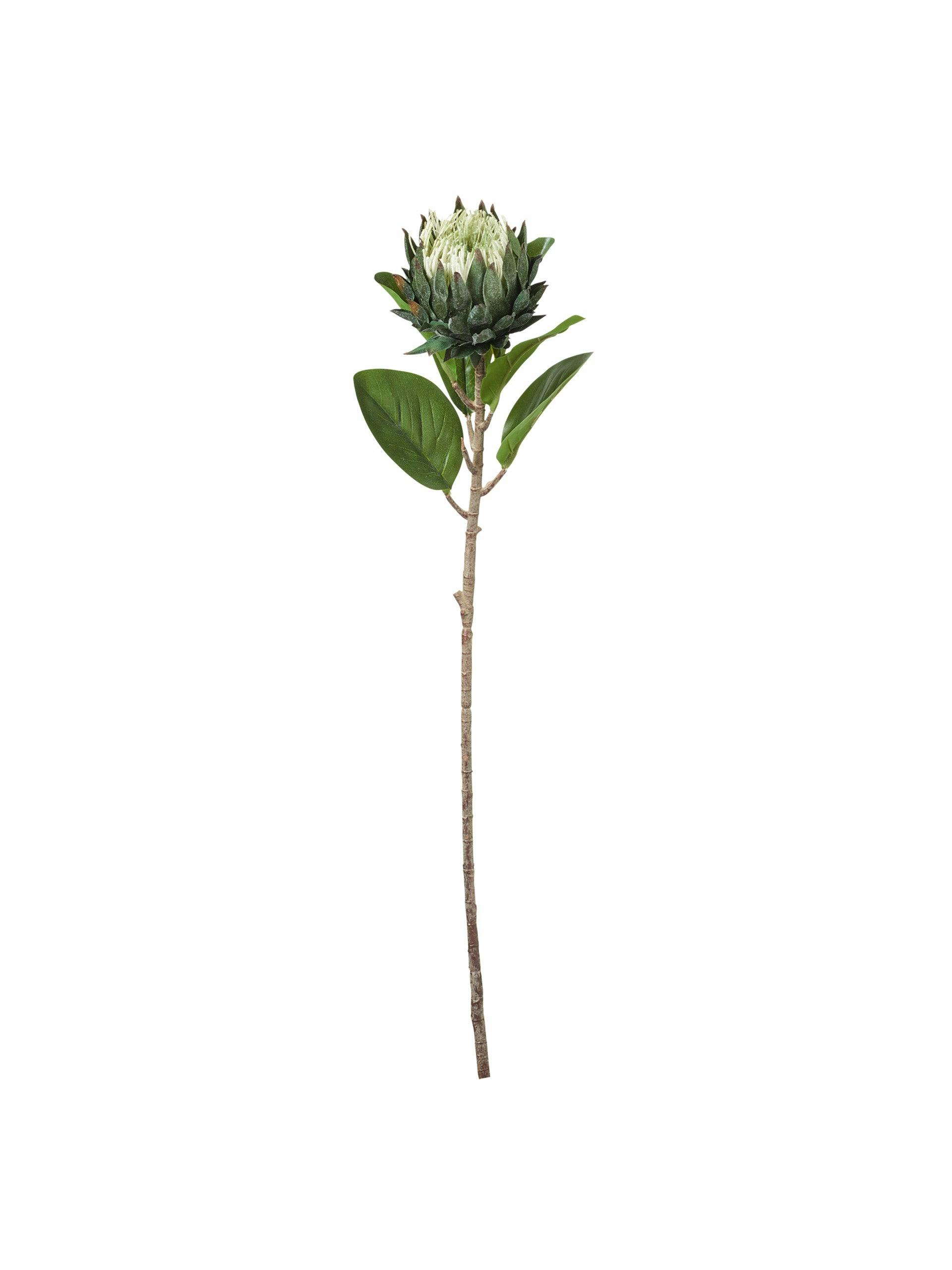 Faux protea stem