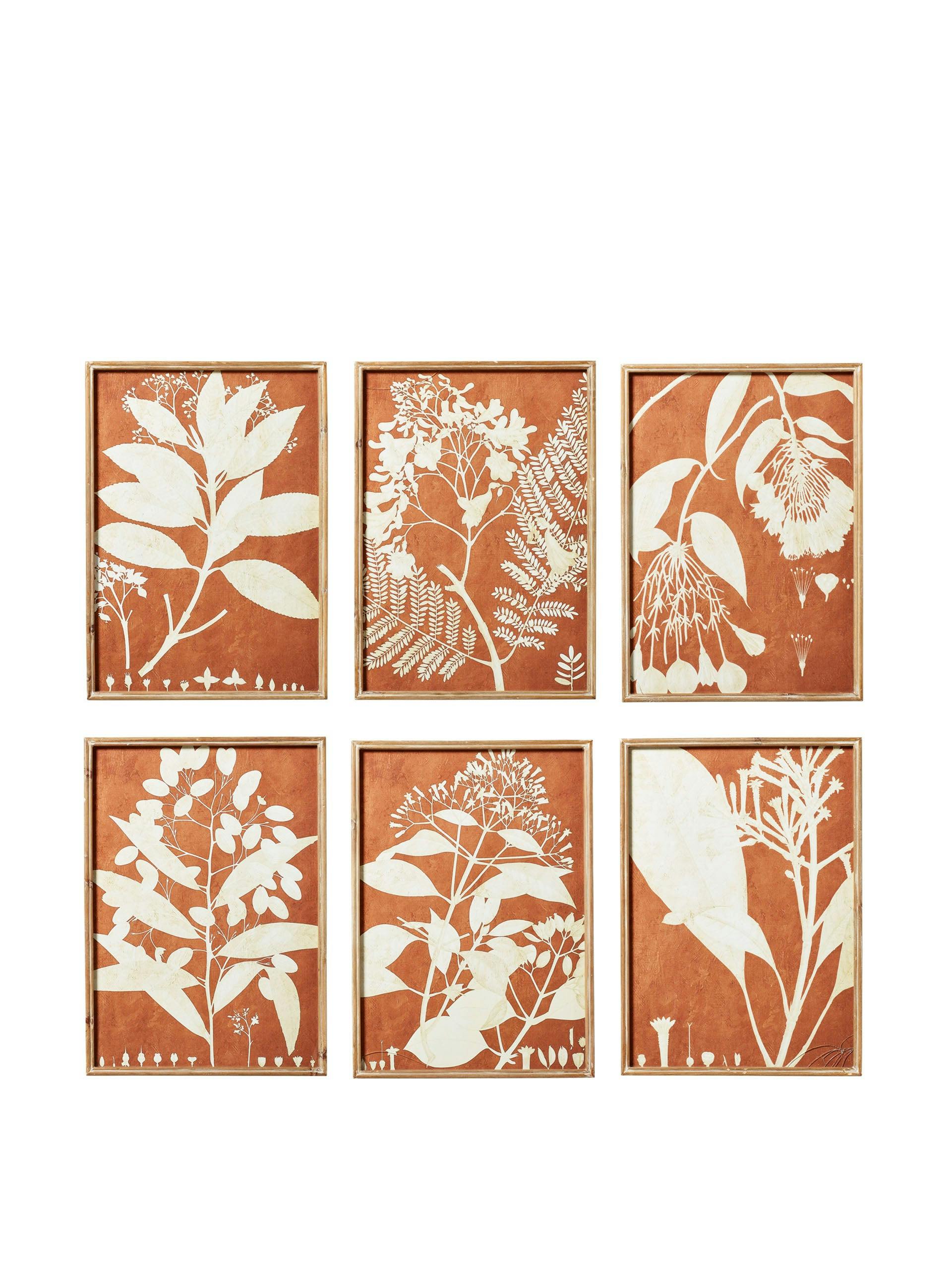 Flora orange photogram framed prints (set of 6)