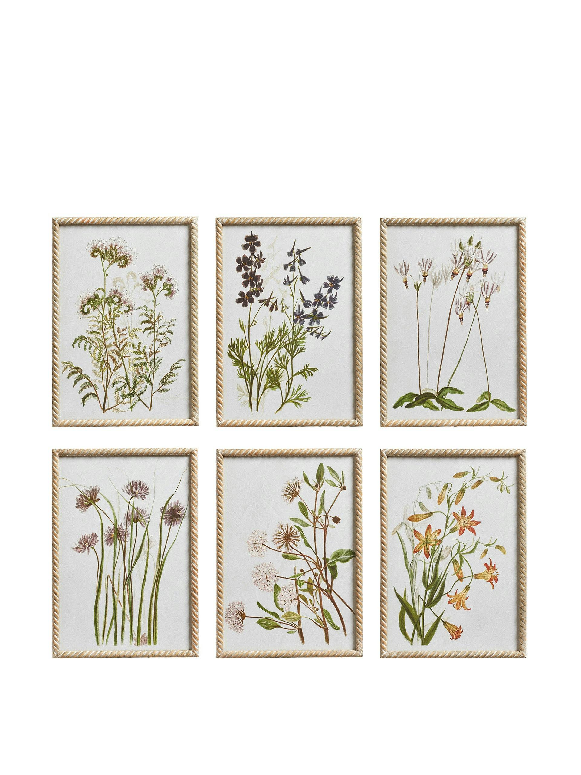 Multi floral prints (set of 6)