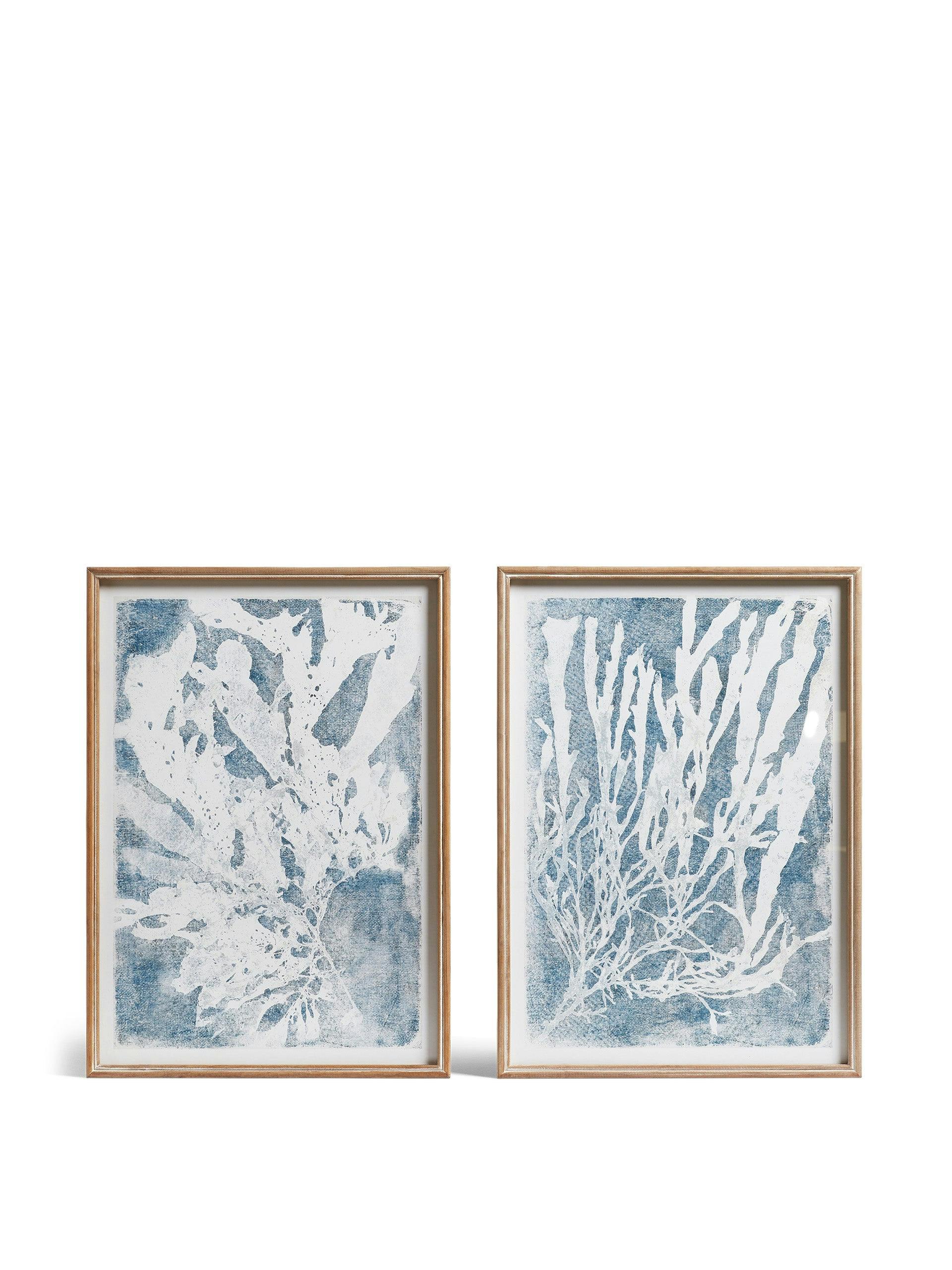 Blue and white seaweed prints (set of 2)