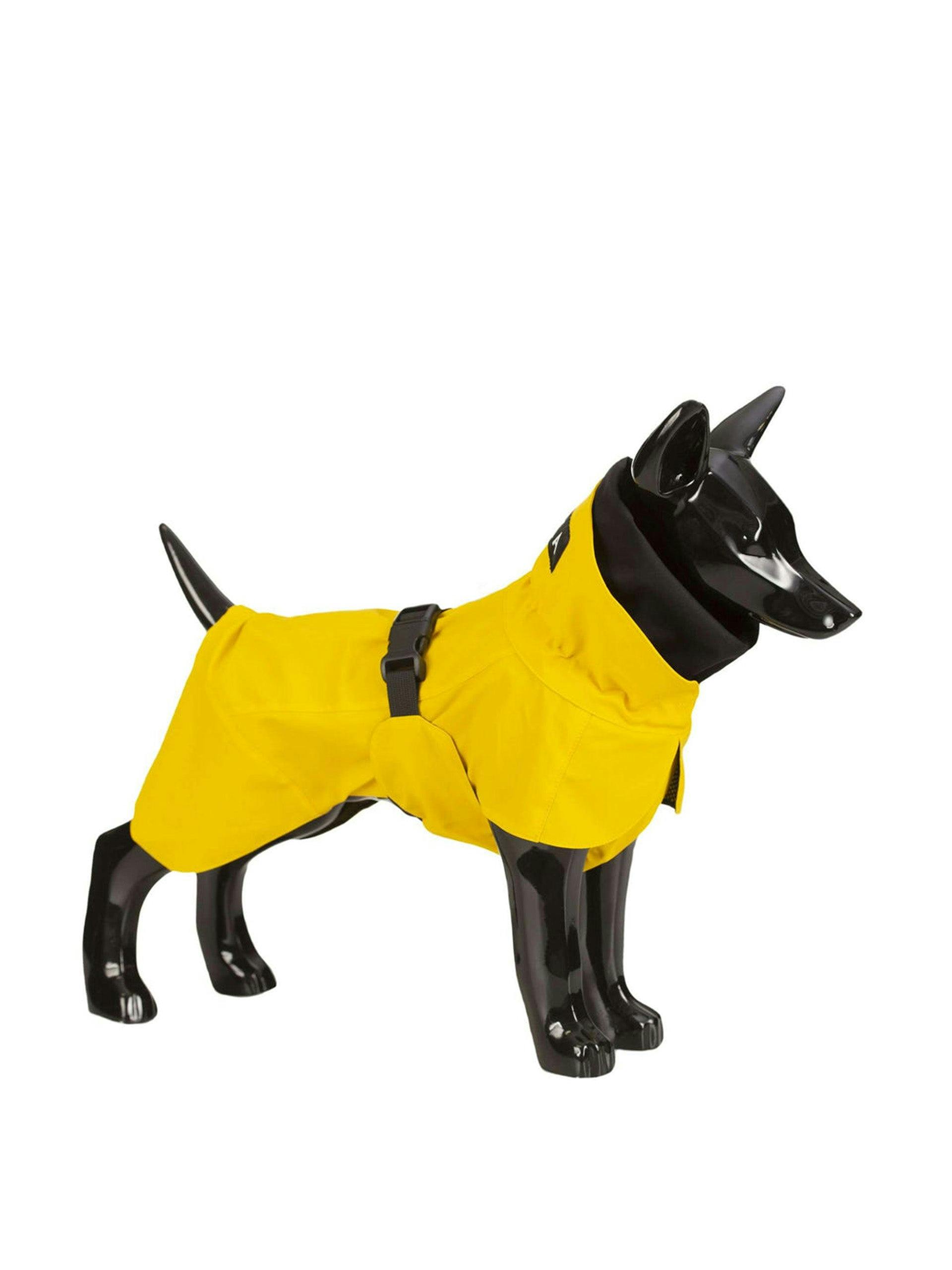 High visibility dog raincoat