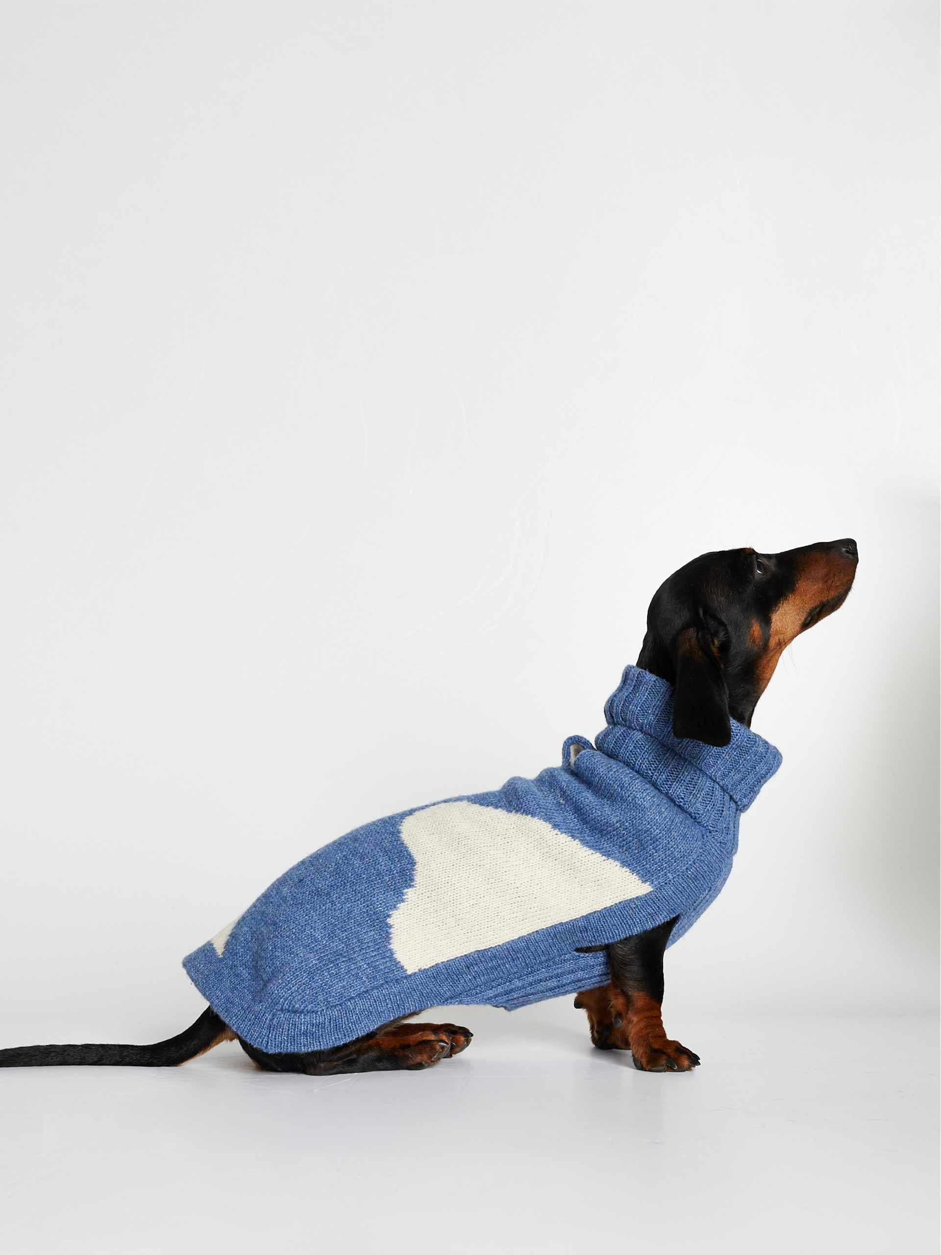 René blue merino wool dog sweater
