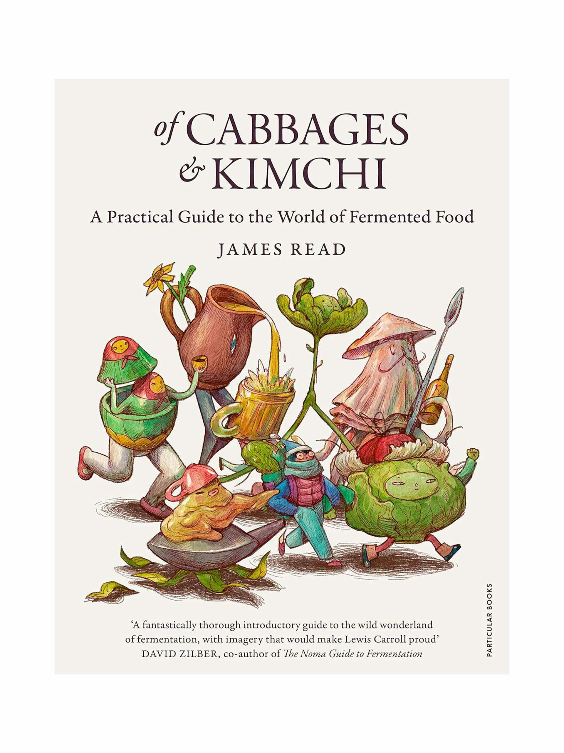 Of cabbages and kimchi: A practical guide to the world of fermented food