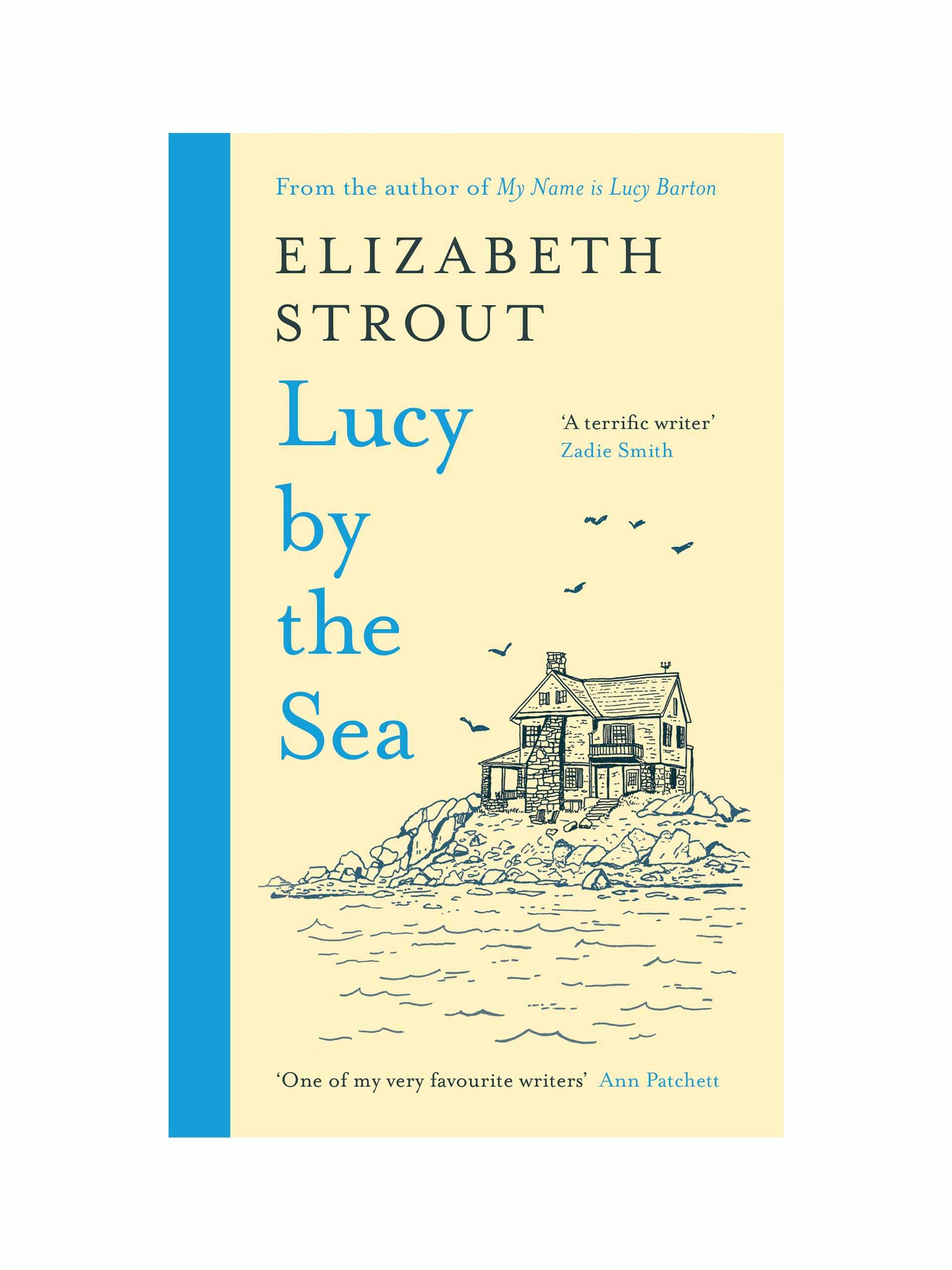 Lucy By The Sea novel by Elizabeth Strout