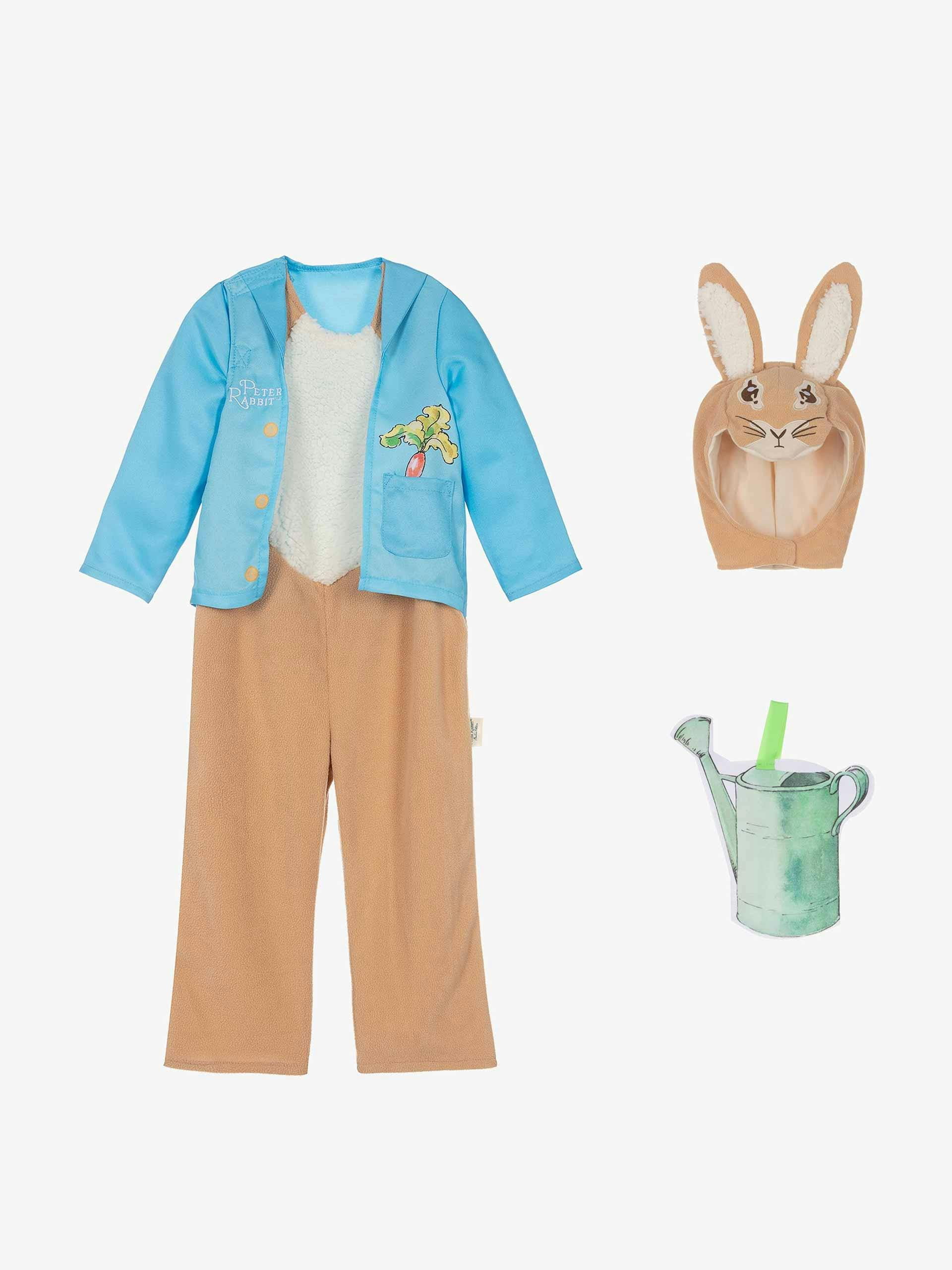 Peter Rabbit costume