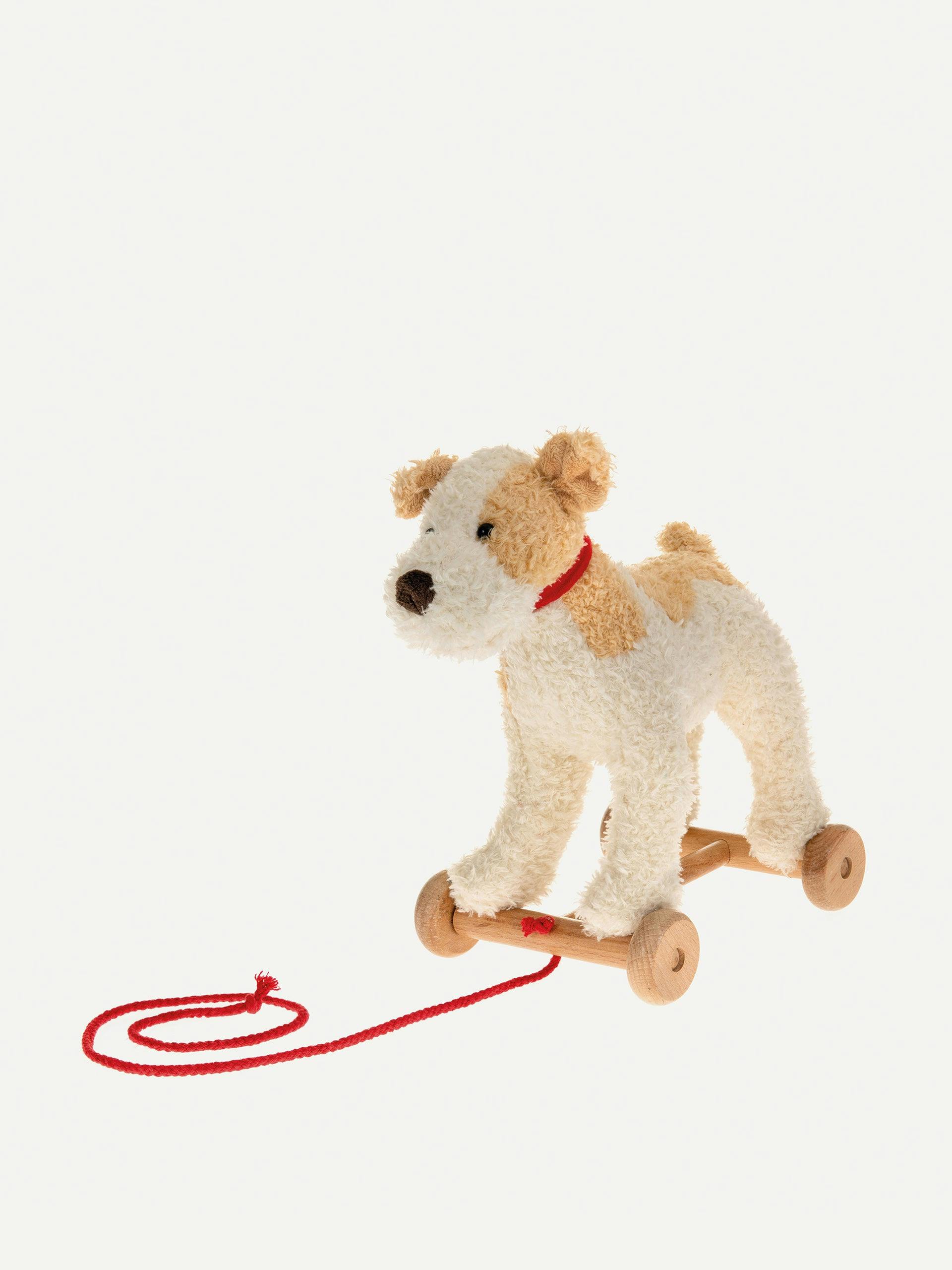 Dog pull along toy