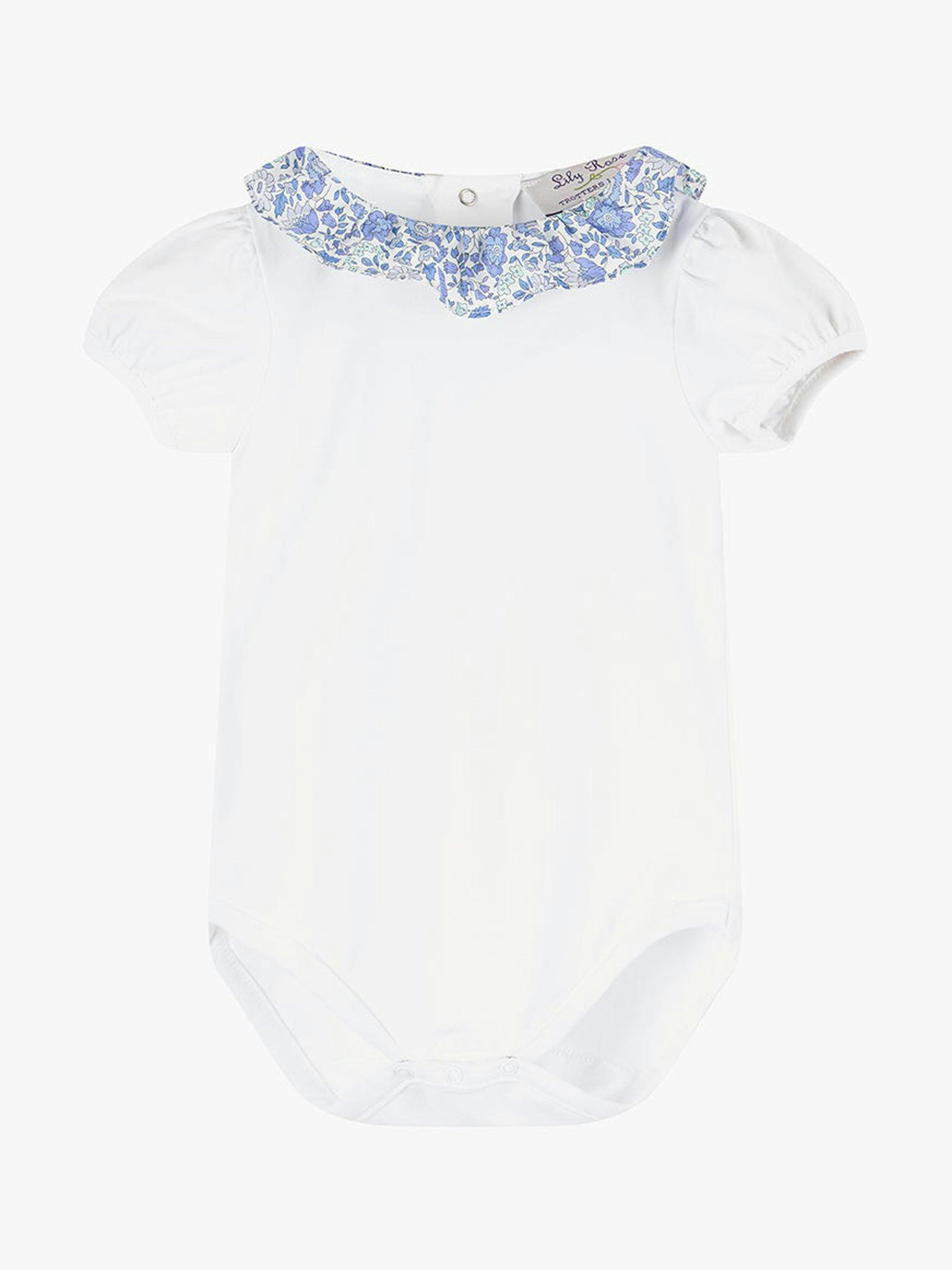 Little ones willow body with blue D'Anjo collar