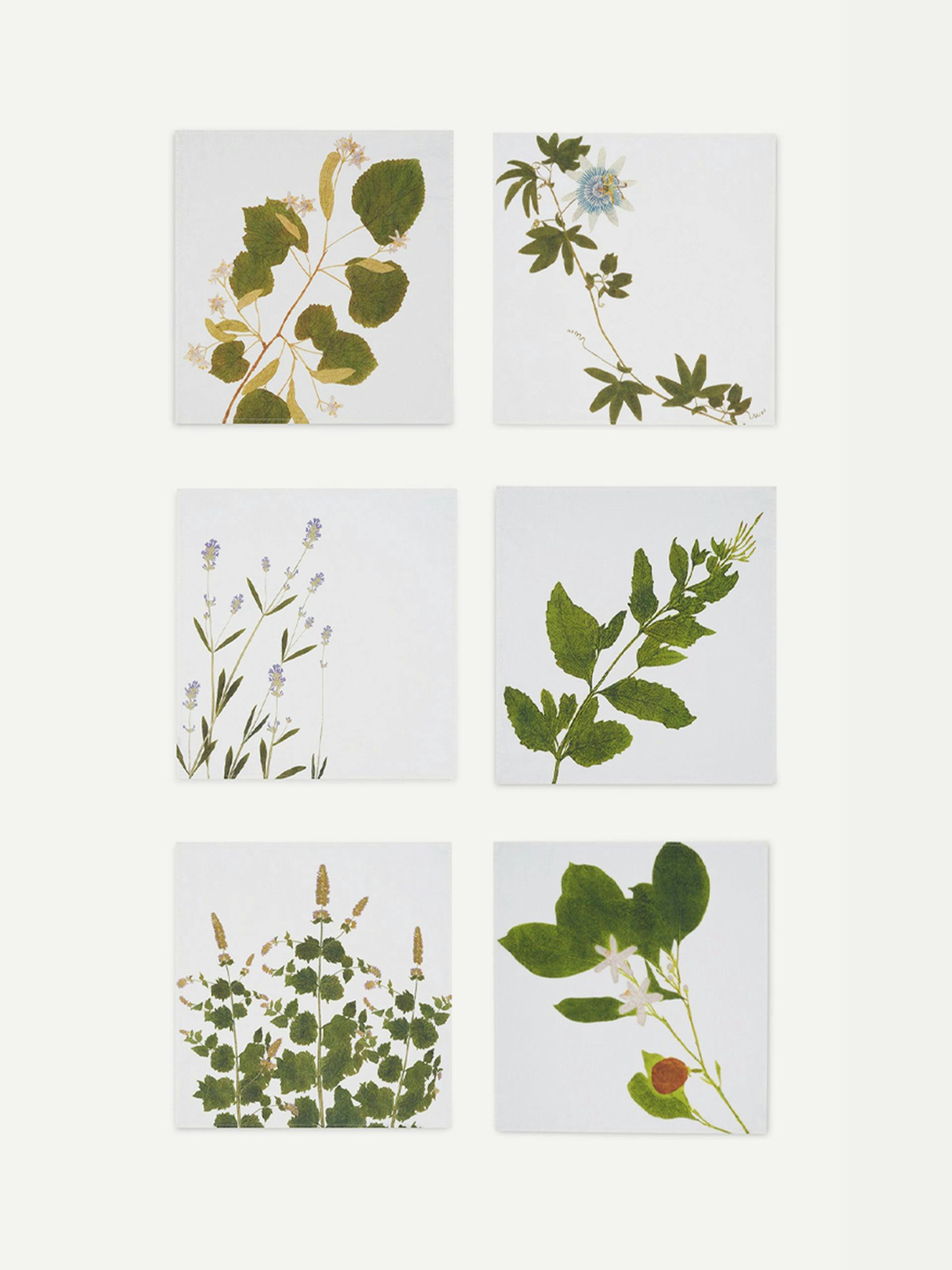 Herbarium napkins (set of 6)