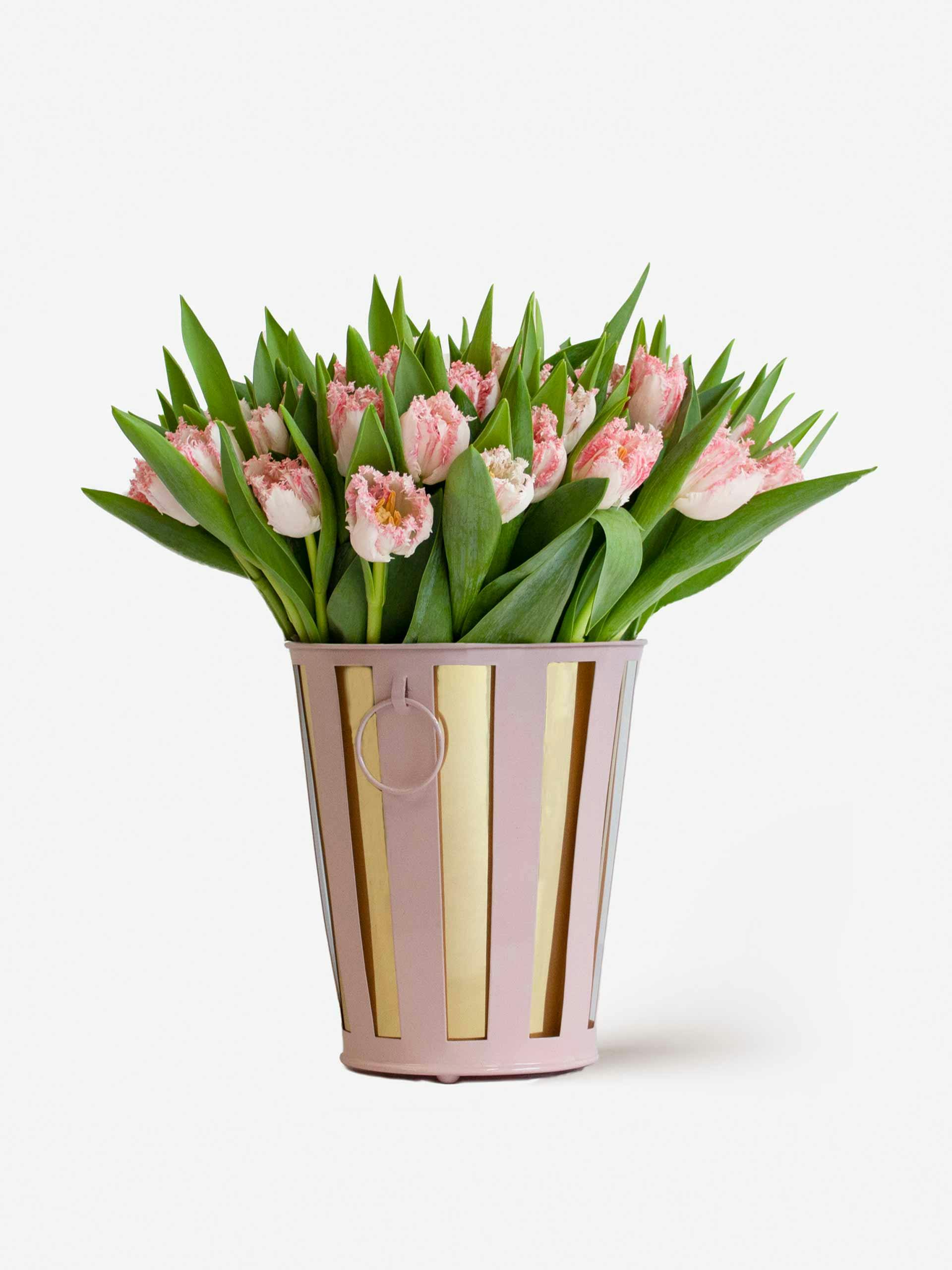 Tulip planter set with 50 stems
