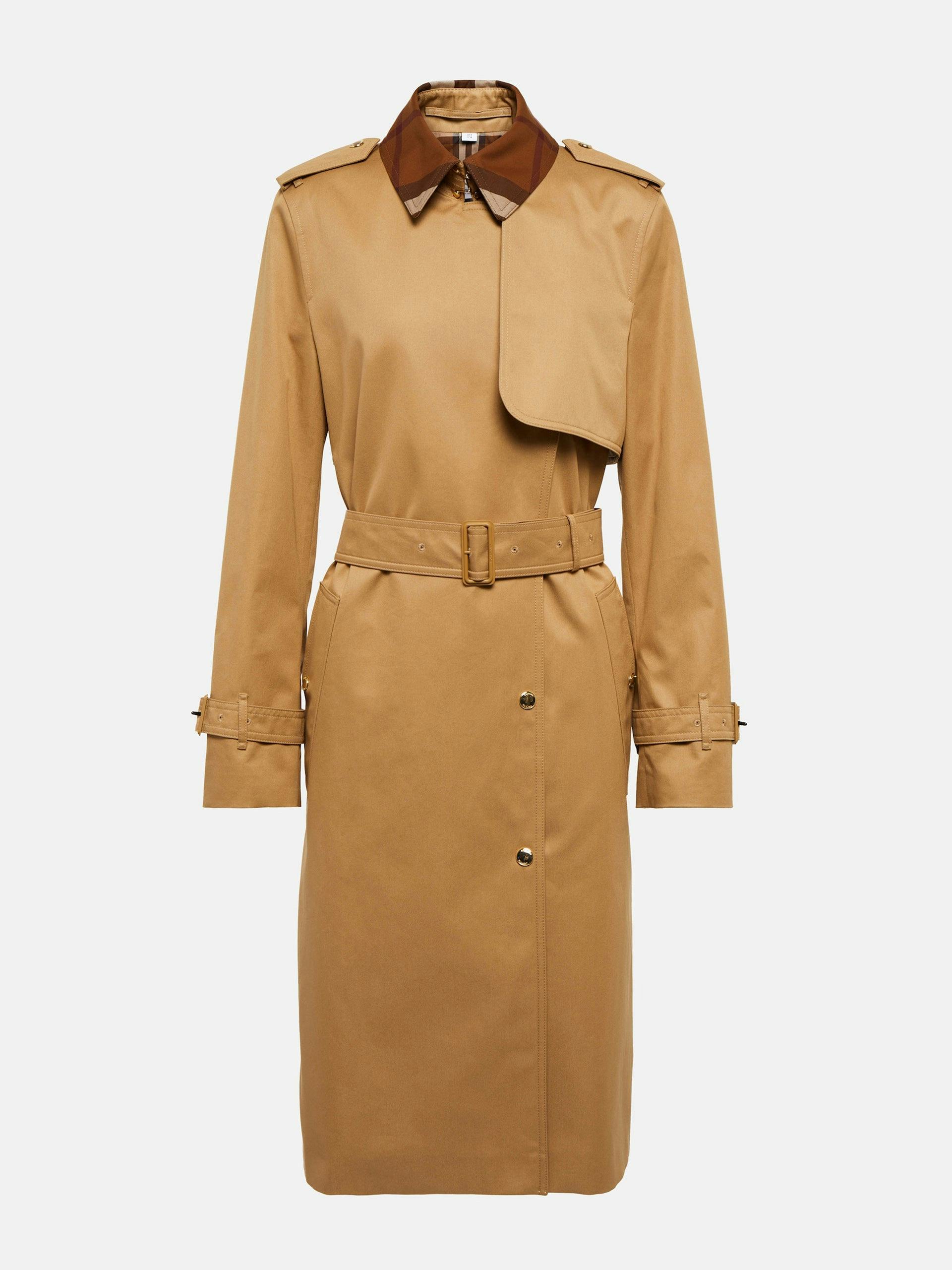 Collared cotton trench coat