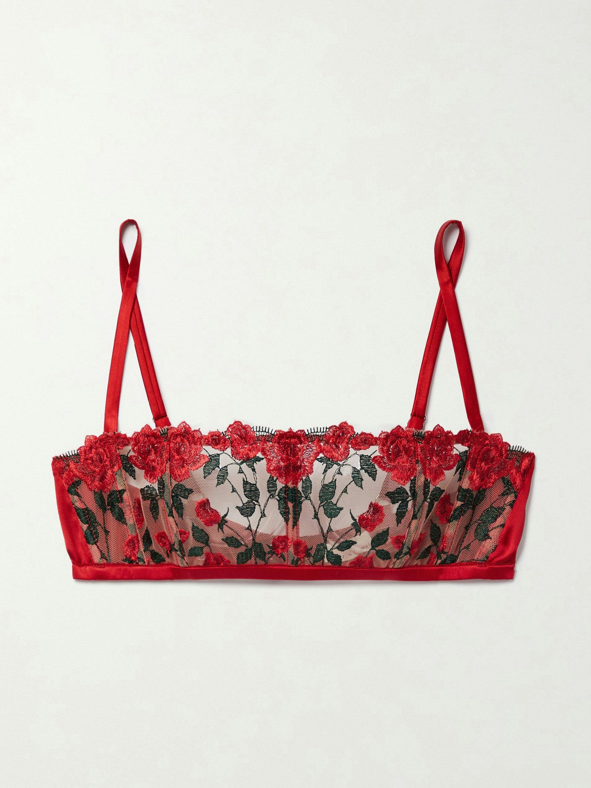 Roses and Thorns embroidered bra