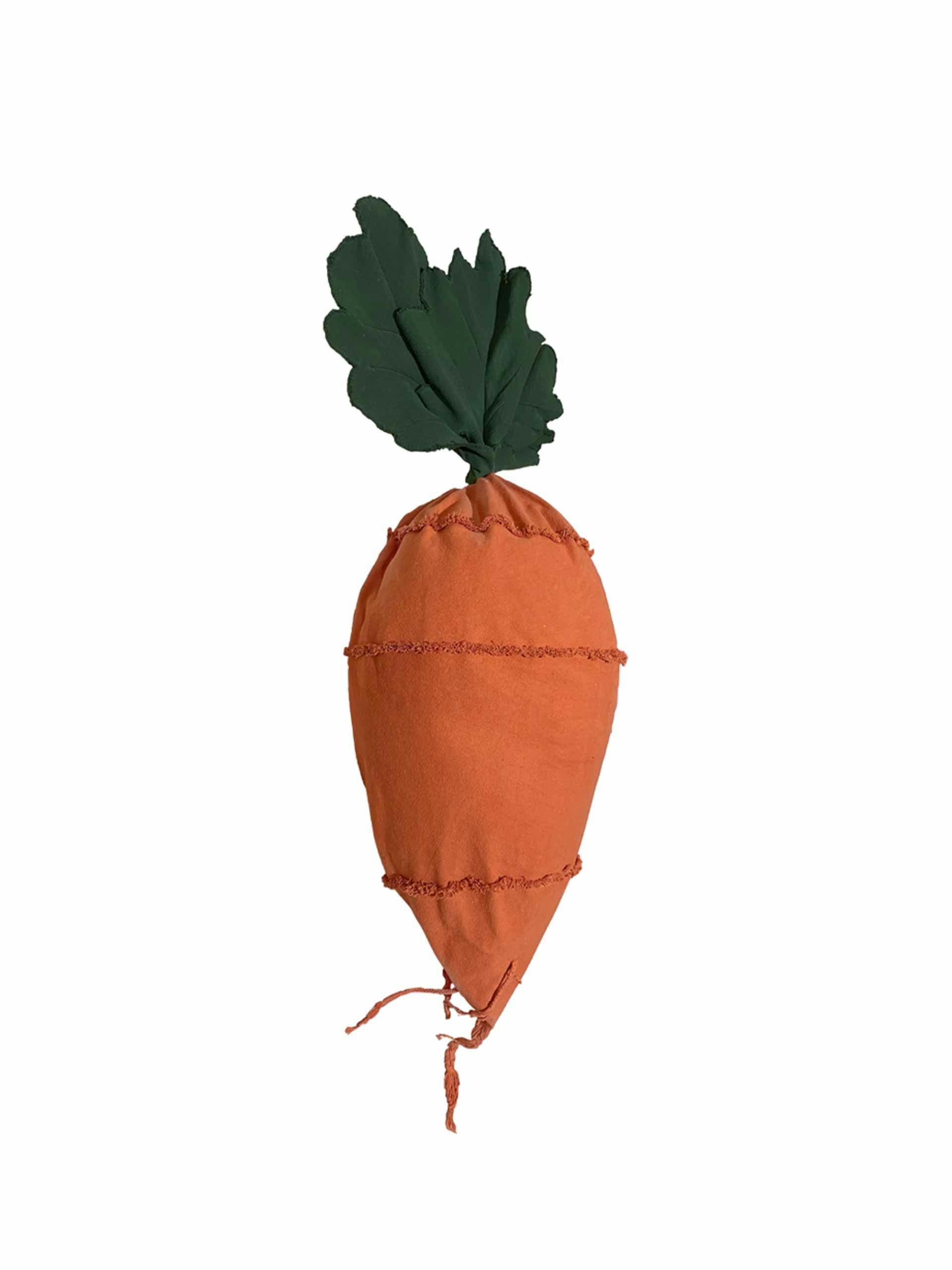 Cathy the carrot bean bag
