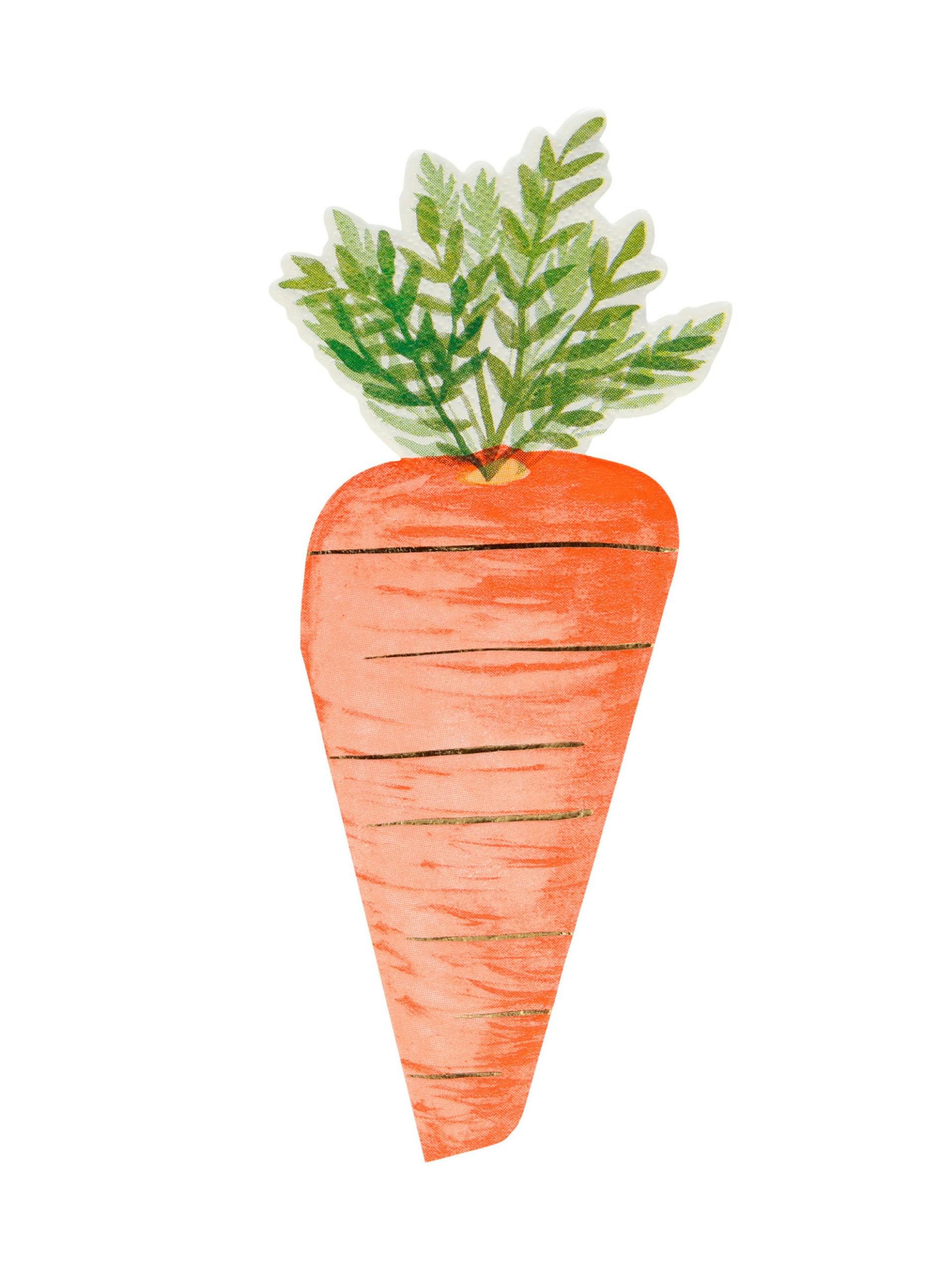 Carrot paper napkins (pack of 16)