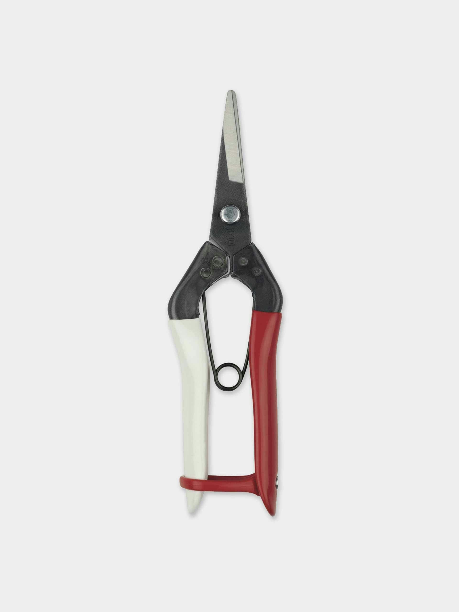 Red and white coloured garden snips