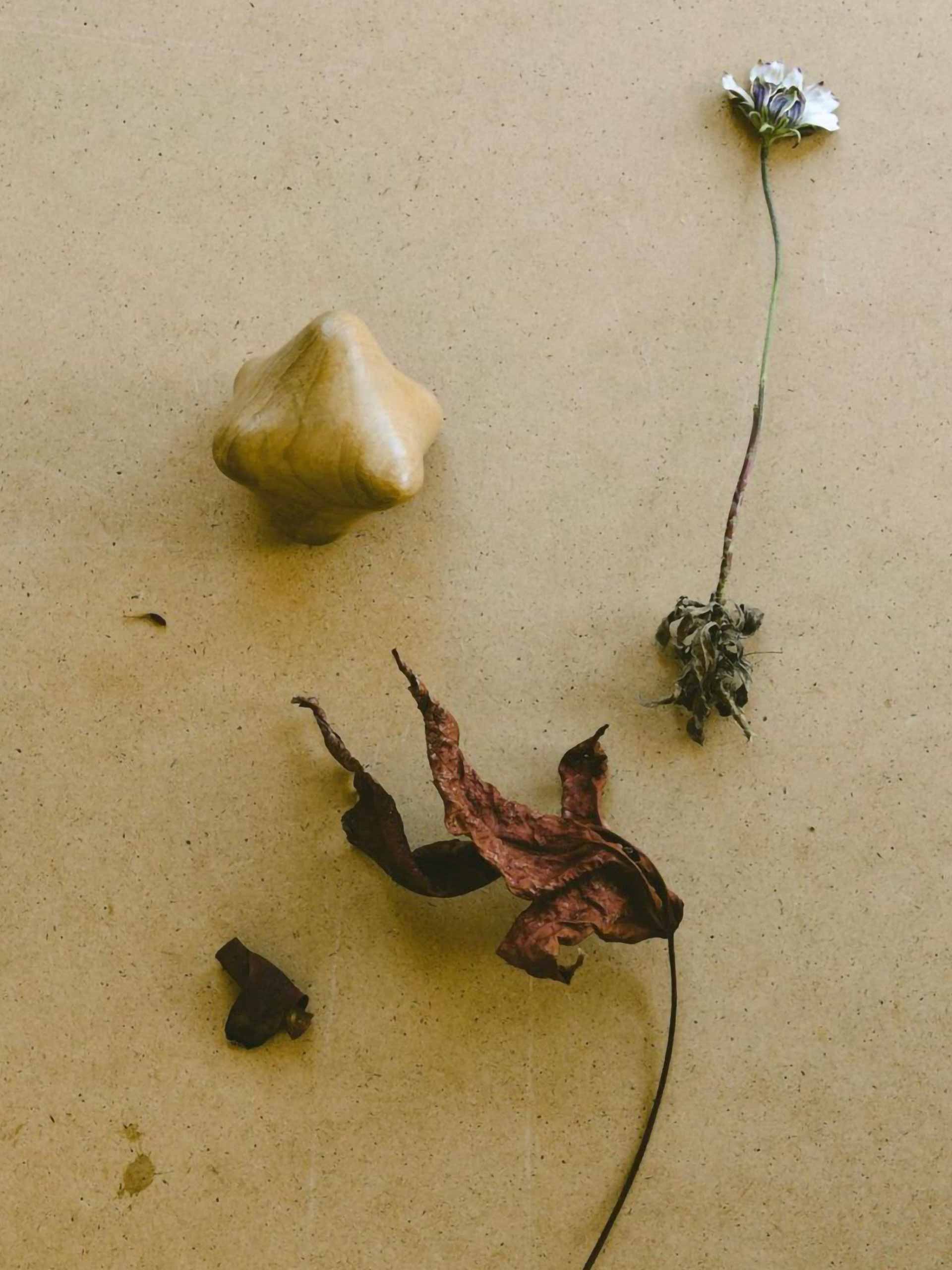 earth-day-holding-unknown